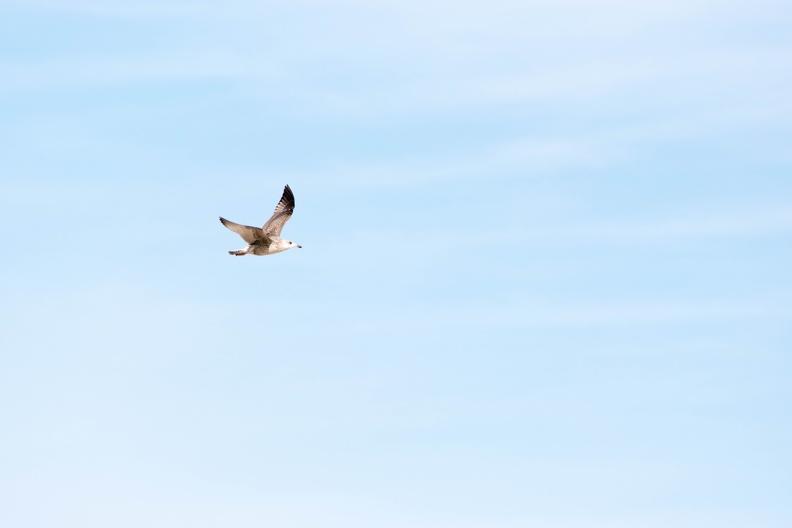 DSC_0844.jpg